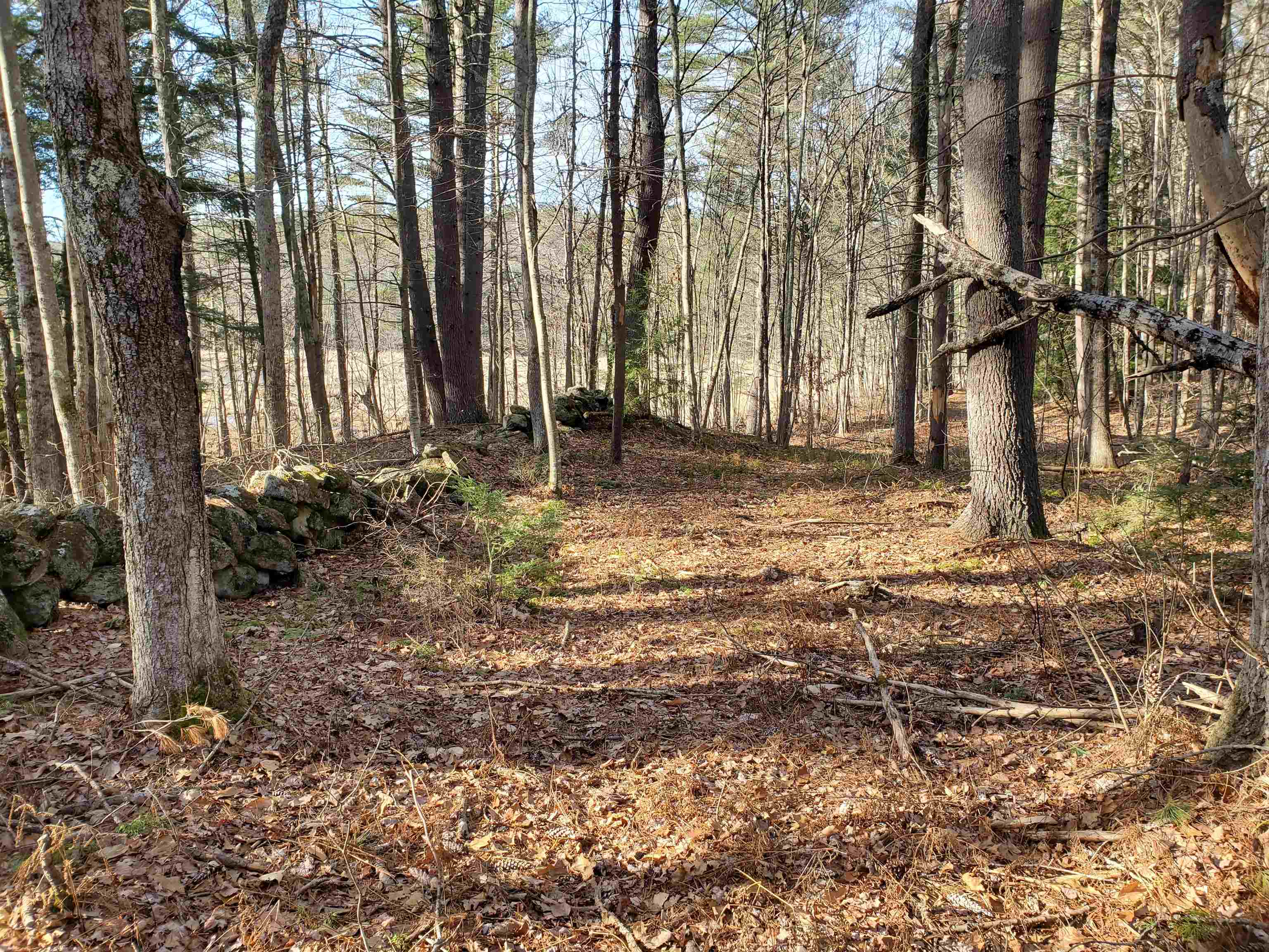 0 Pickard Road Canterbury, NH 03224 - Photo 5 of 7