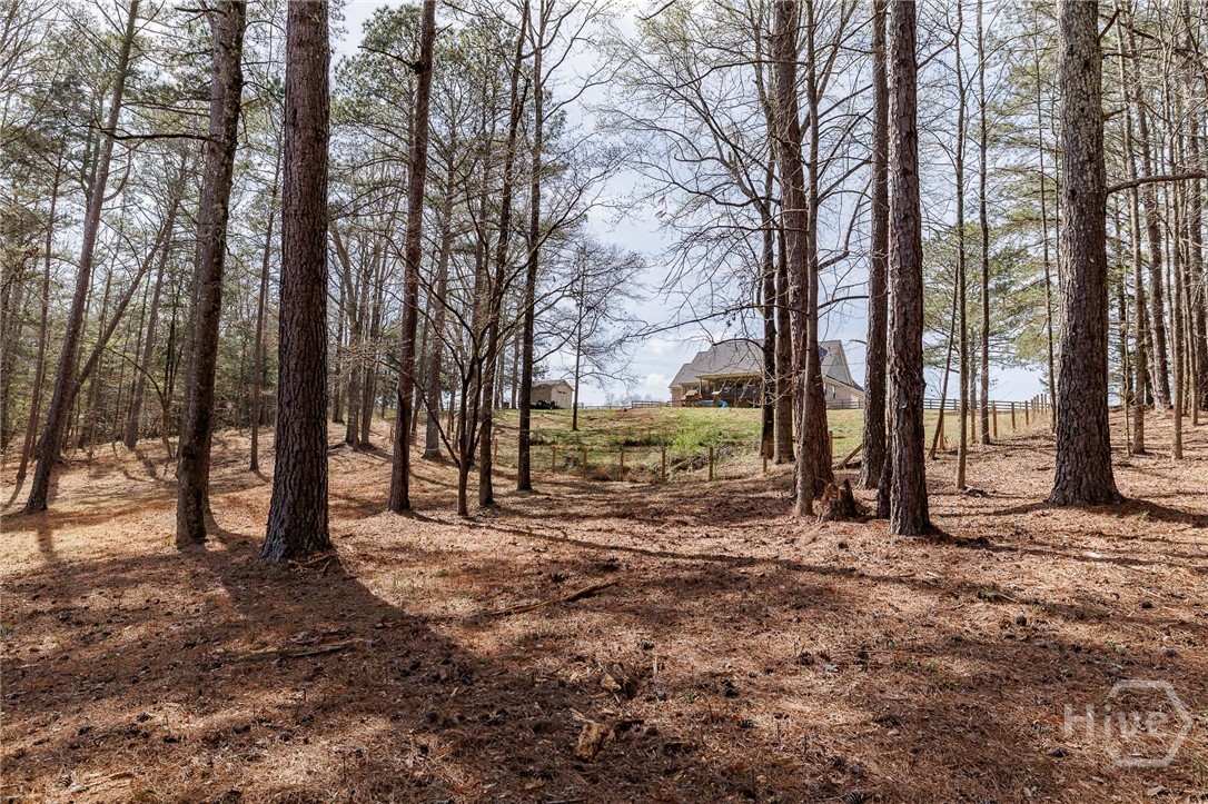 12 Black Thorn Road Colbert, GA 30628 - Photo 62 of 74