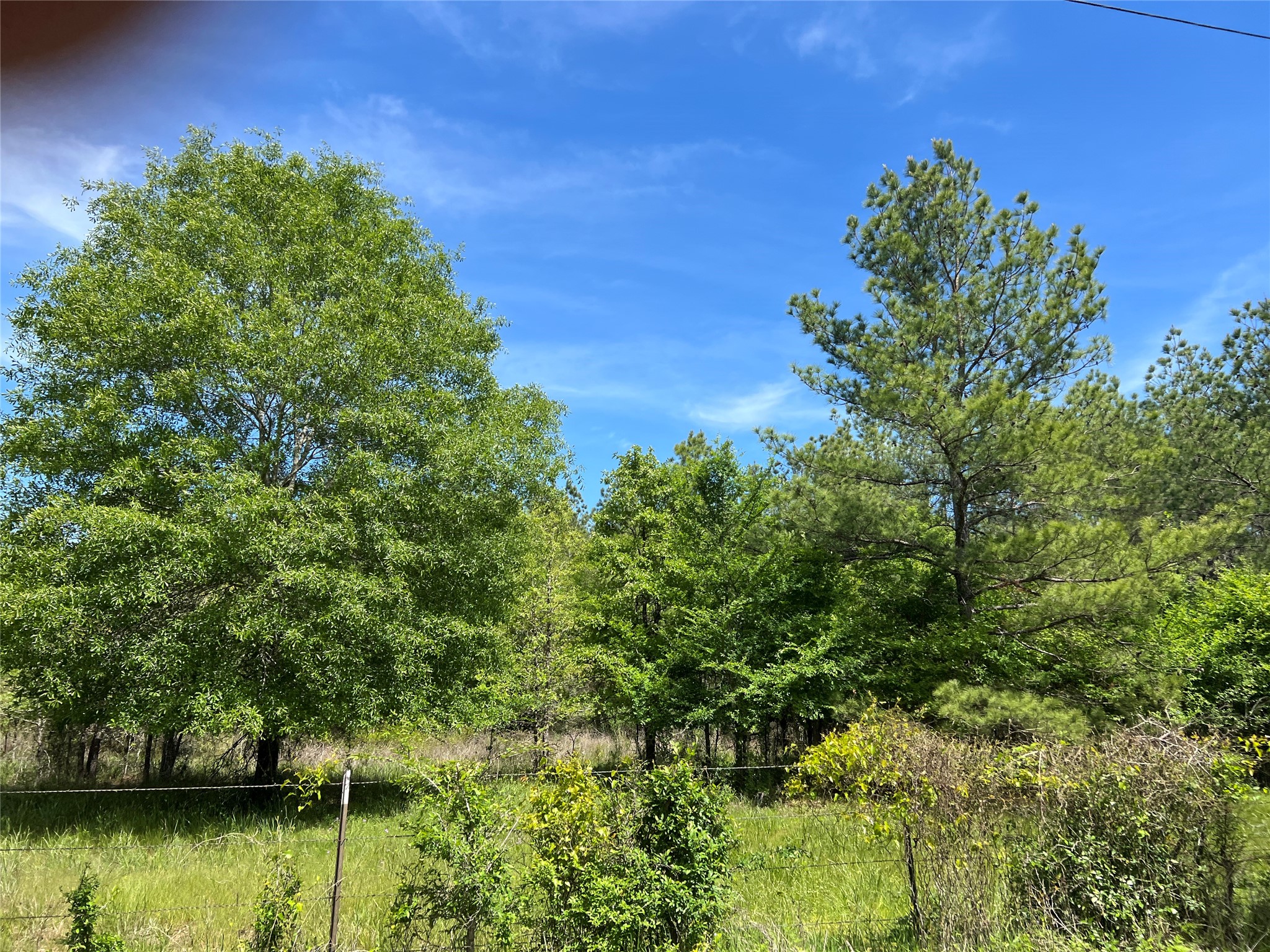 3 English Road Bedias, TX 77831 - Photo 5 of 13 a view of a garden with a lake
