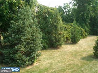 1612 Covington Road, Unit 6 Yardley, PA 19067 - Photo 8 of 12 View