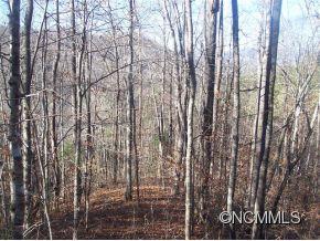 0 Cherry Cove Road Cullowhee, NC 28723 - Photo 11 of 12 Gallery Image 11