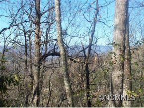 0 Cherry Cove Road Cullowhee, NC 28723 - Photo 12 of 12 Gallery Image 12