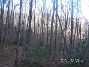 0 Cherry Cove Road Cullowhee, NC 28723 - Photo 8 of 12 Gallery Image 8