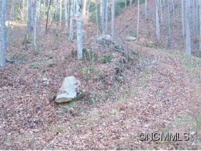 0 Cherry Cove Road Cullowhee, NC 28723 - Photo 9 of 12 Gallery Image 9