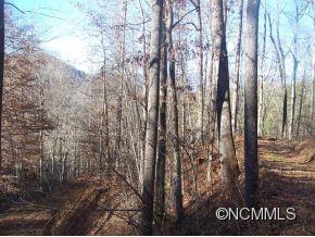 0 Cherry Cove Road Cullowhee, NC 28723 - Photo 10 of 12 Gallery Image 10