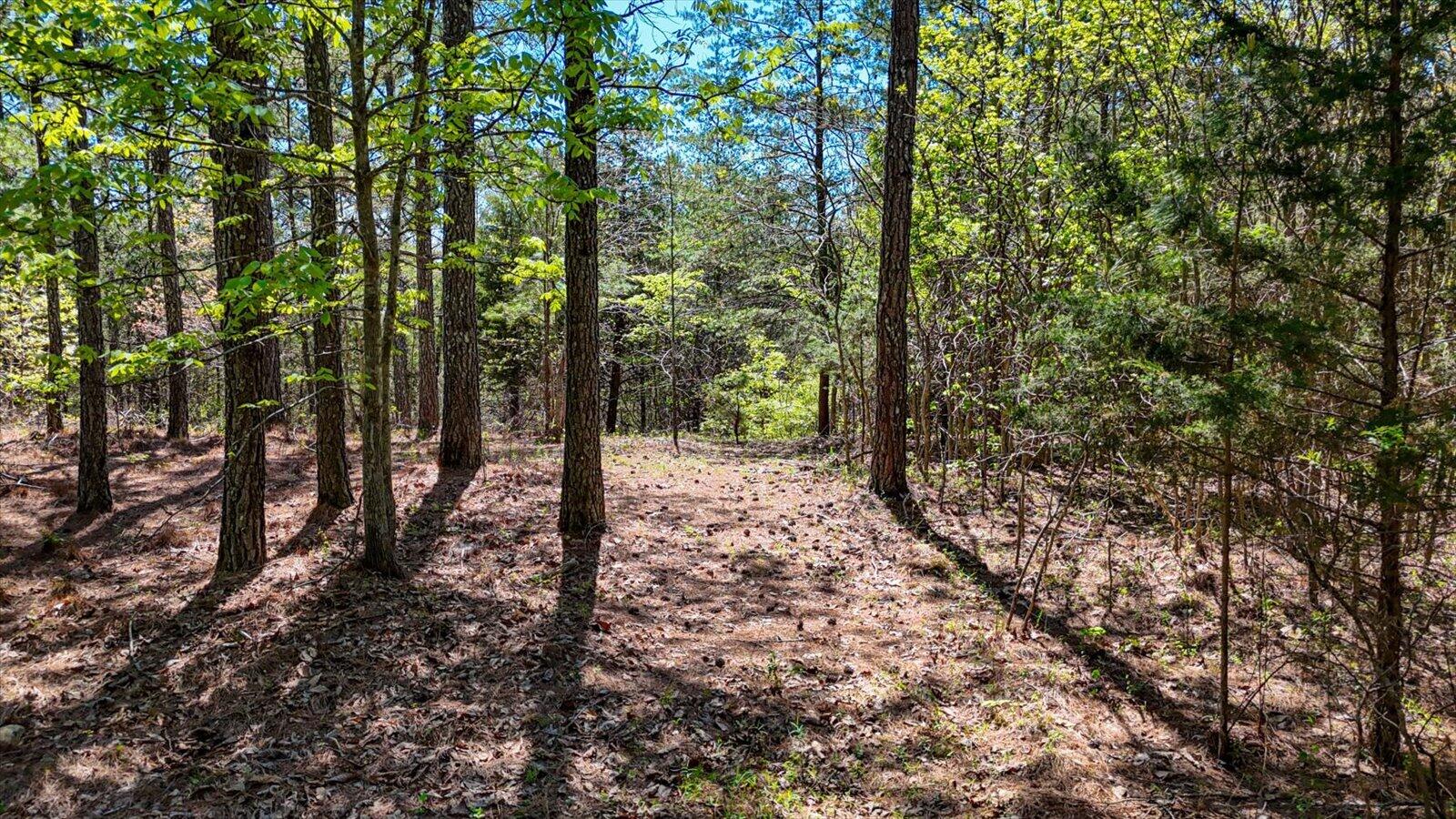 15.12-acre Rynes Road Decatur, TN 37322 - Photo 30 of 35 30-Cottonport Ridge Rd lot 2-13