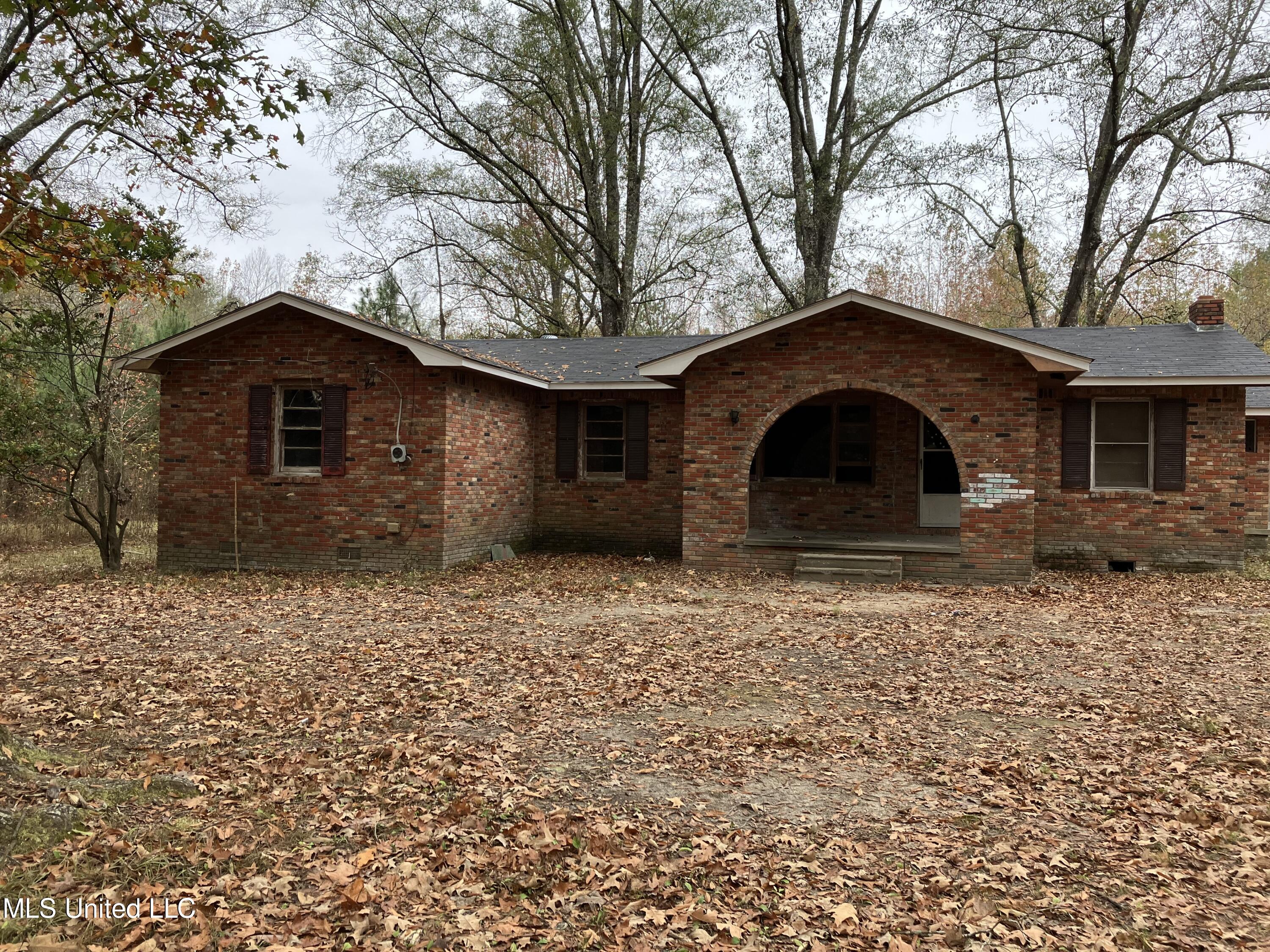 6488 Ms-489 Conehatta, MS 39057 - Photo 3 of 4 IMG_0763 (1)