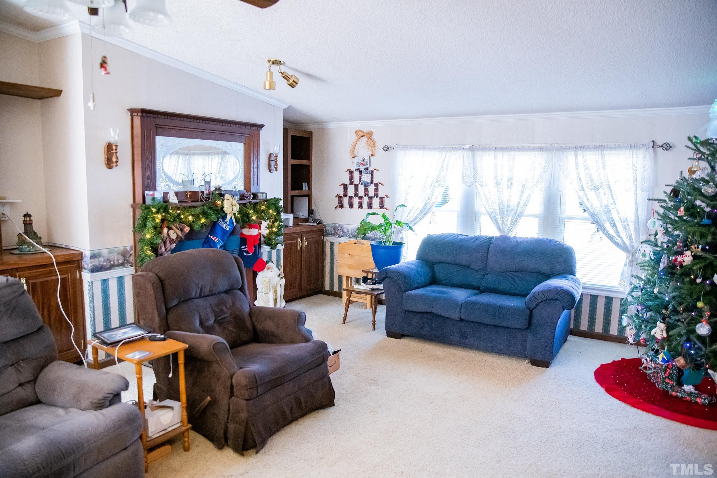 6180 Helena Moriah Road Rougemont, NC 27572 - Photo 9 of 41 a living room with furniture and a large window