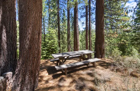a view of outdoor space with lots of trees