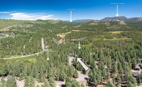 a view of a city with lush green forest