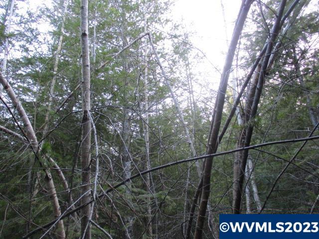 0 Southeast Harvey Road Sandy, OR 97055 - Photo 2 of 11