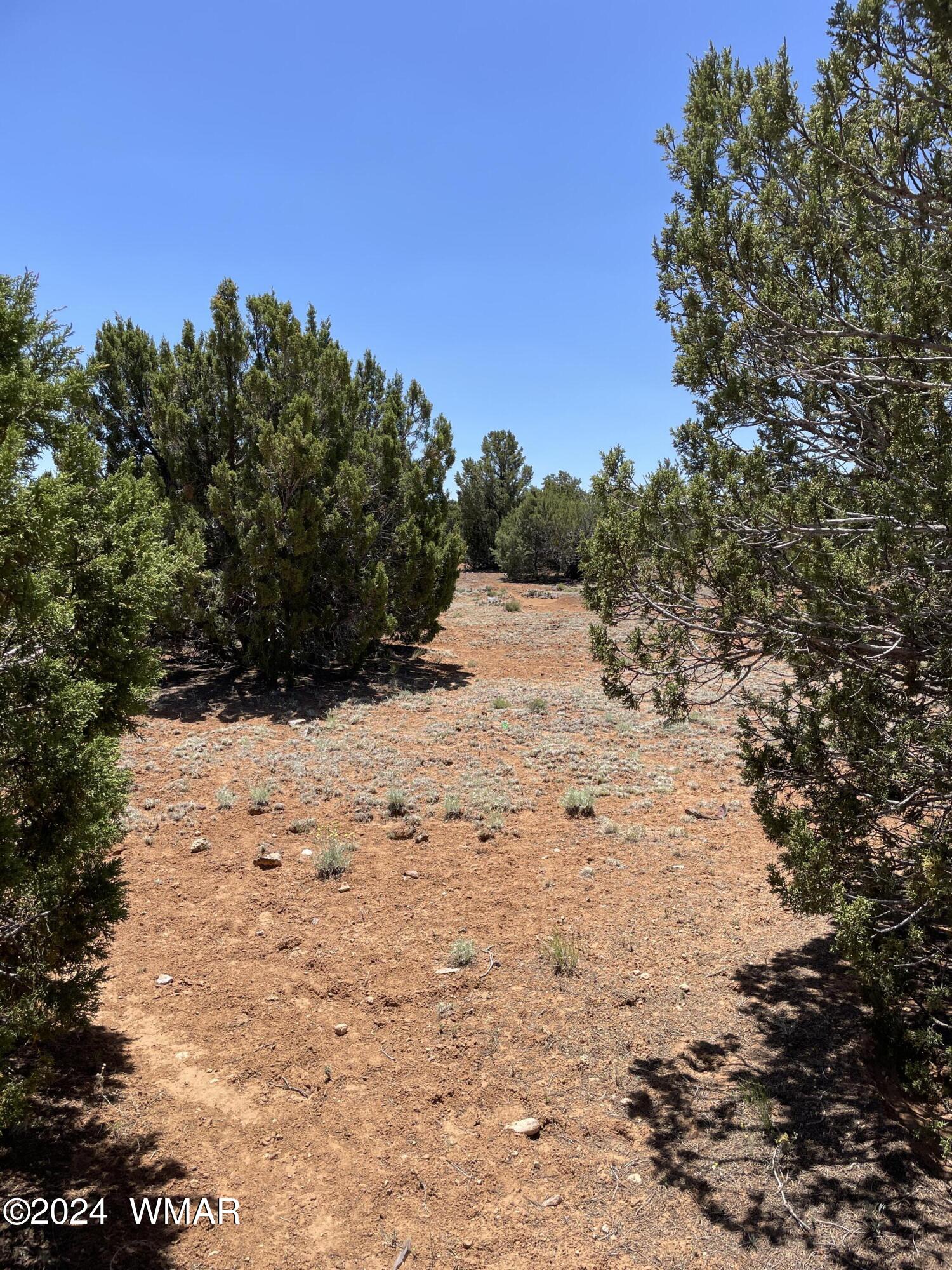 34 Meadow Lane Concho, AZ 85924 - Photo 11 of 20 IMG_2208