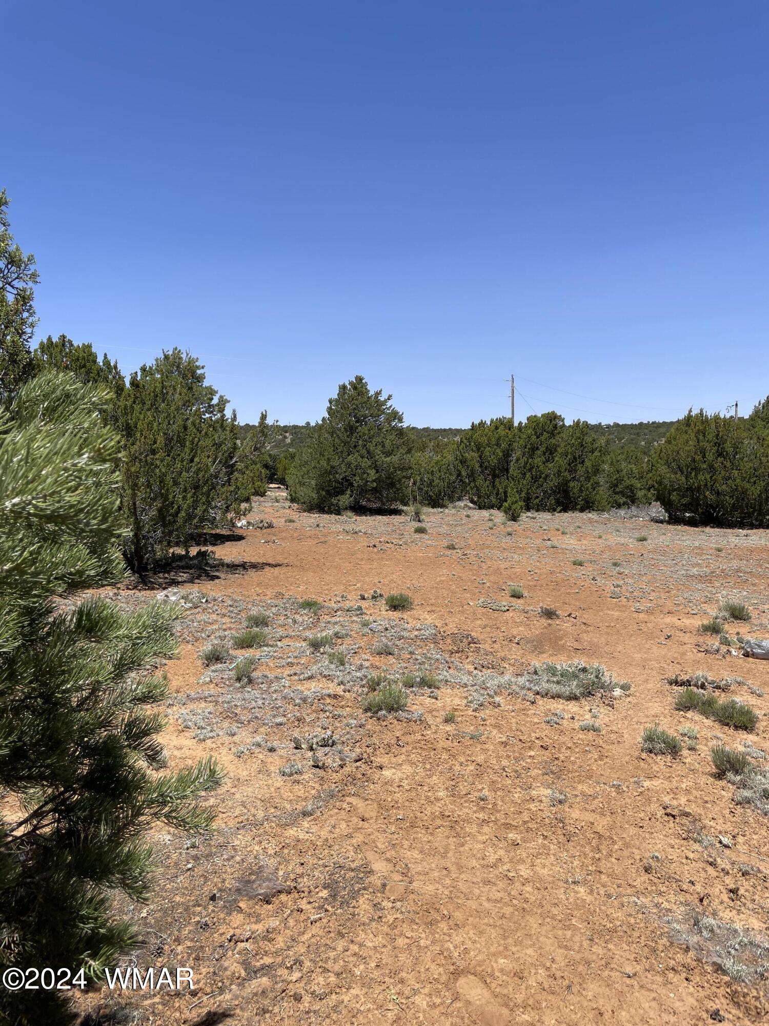 34 Meadow Lane Concho, AZ 85924 - Photo 13 of 20 IMG_2212