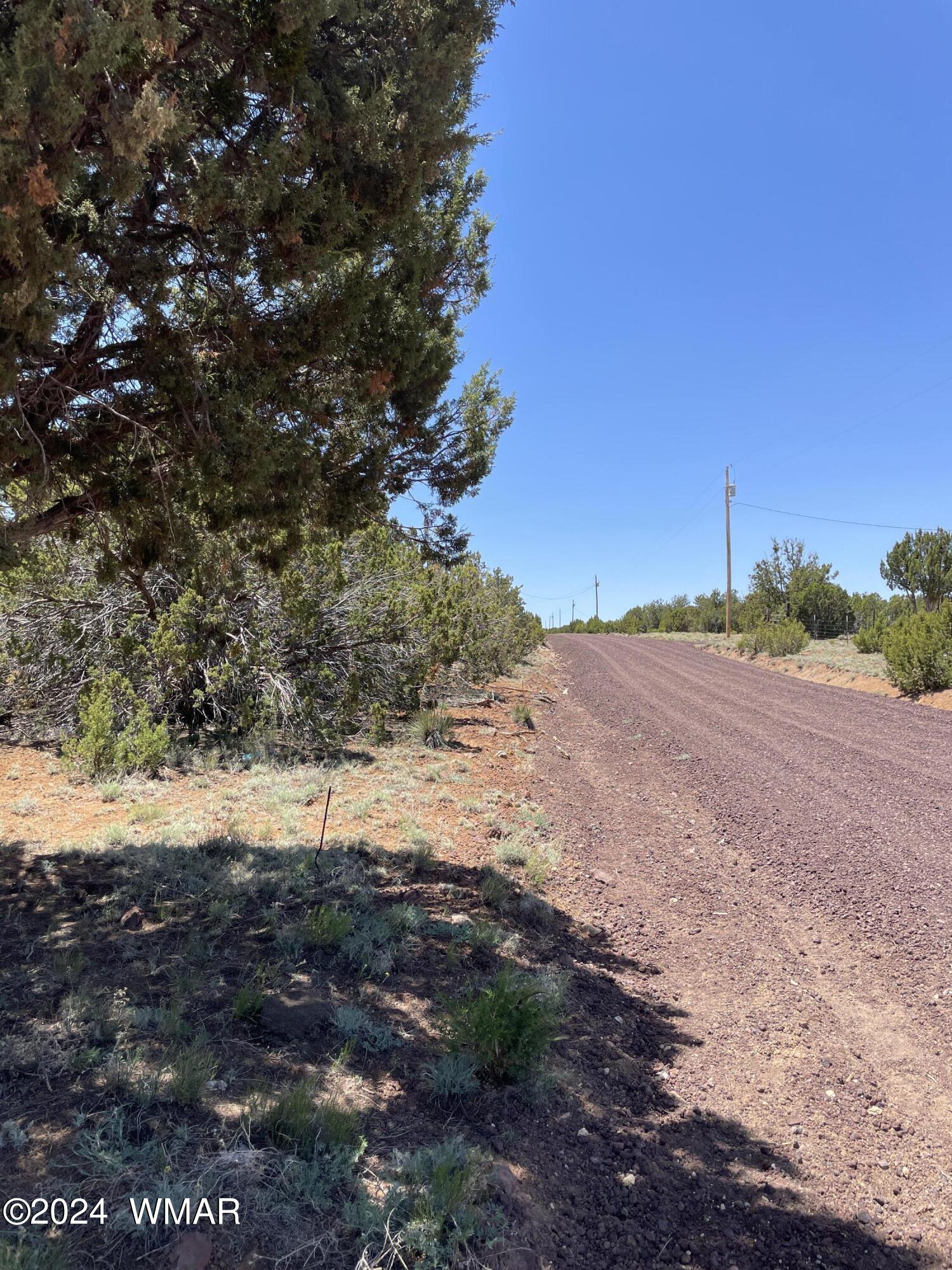 34 Meadow Lane Concho, AZ 85924 - Photo 14 of 20 IMG_2206