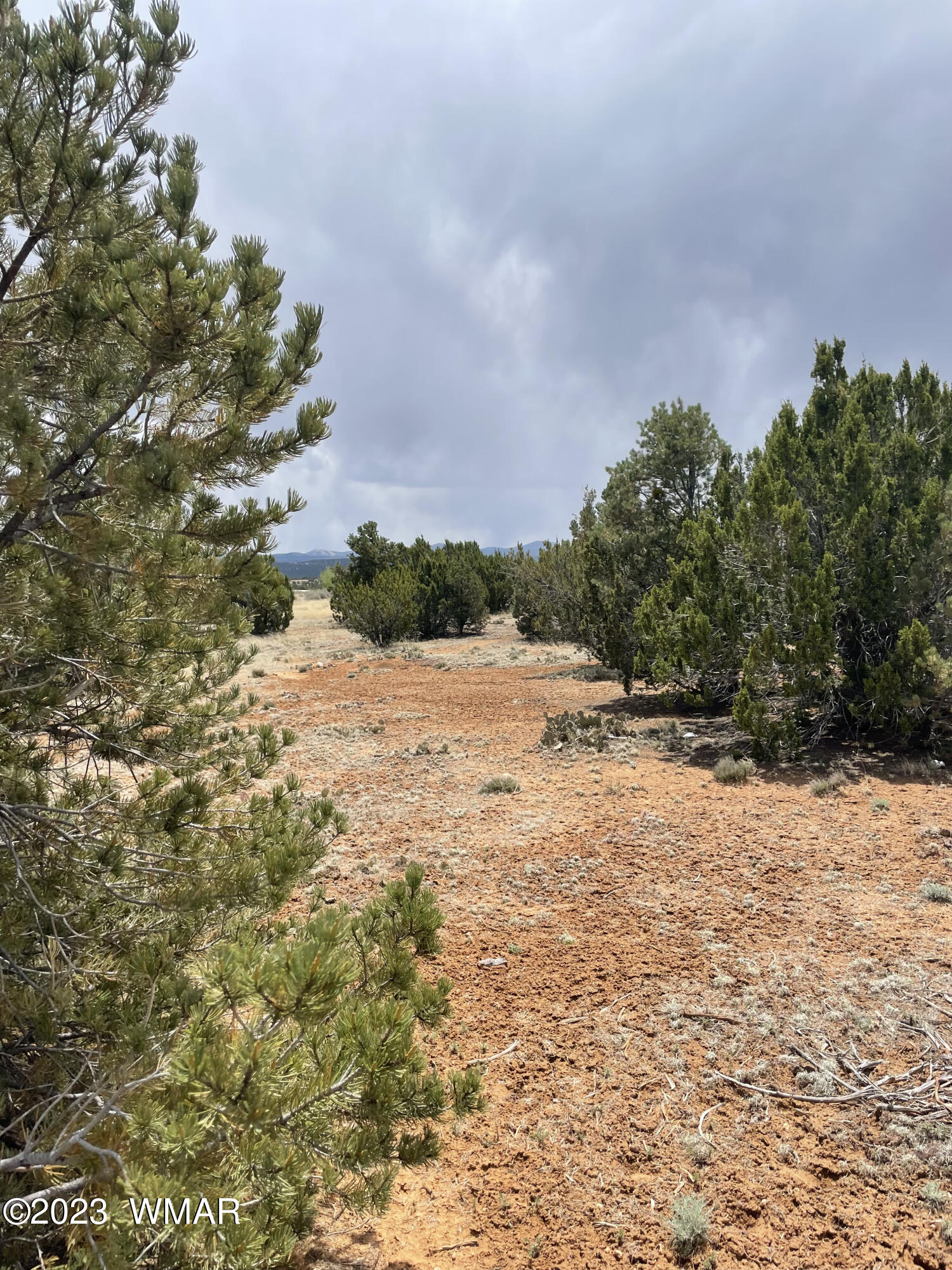 34 Meadow Lane Concho, AZ 85924 - Photo 2 of 20 IMG_0231 conv