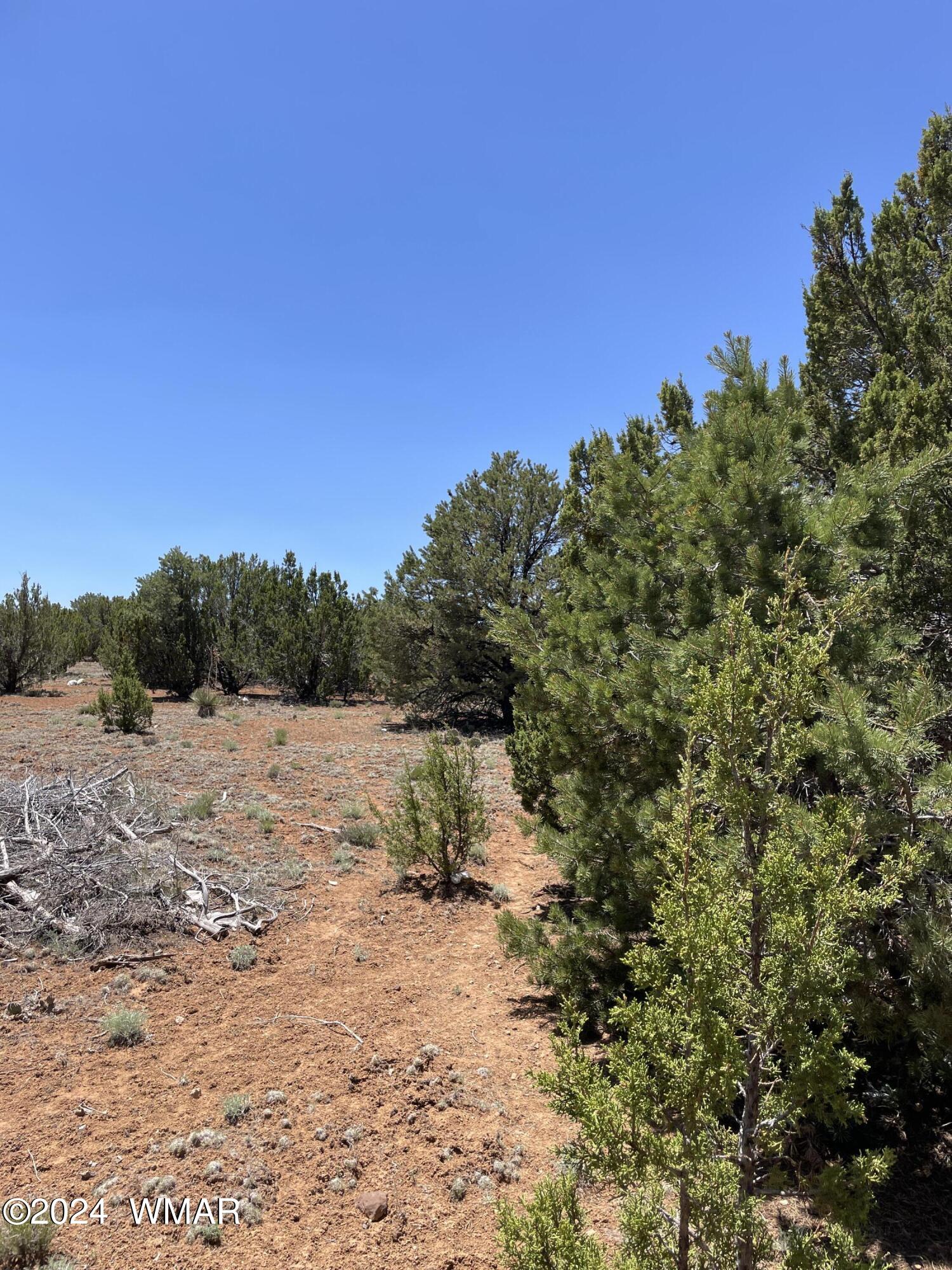 34 Meadow Lane Concho, AZ 85924 - Photo 10 of 20 IMG_2207
