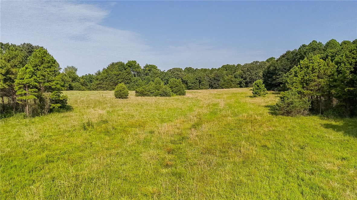 Square Rock Road Waldron, AR 72958 - Photo 12 of 16 Expansive green pasture framed by mature deciduous and evergreen trees