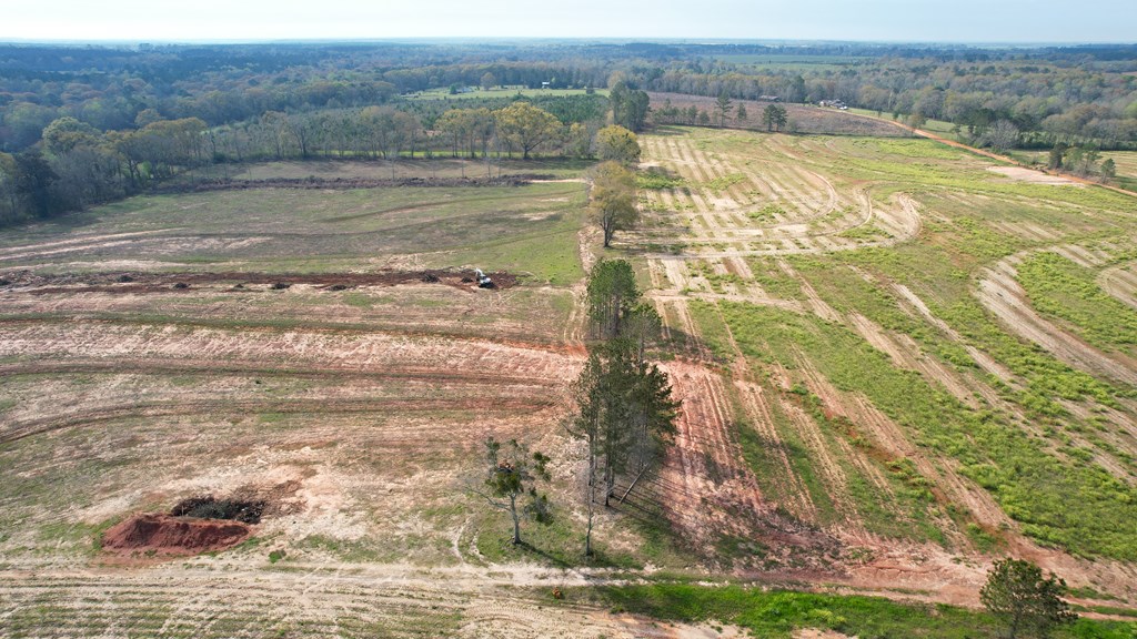 0 Travis Wise Road Samson, AL 36477 - Photo 11 of 21