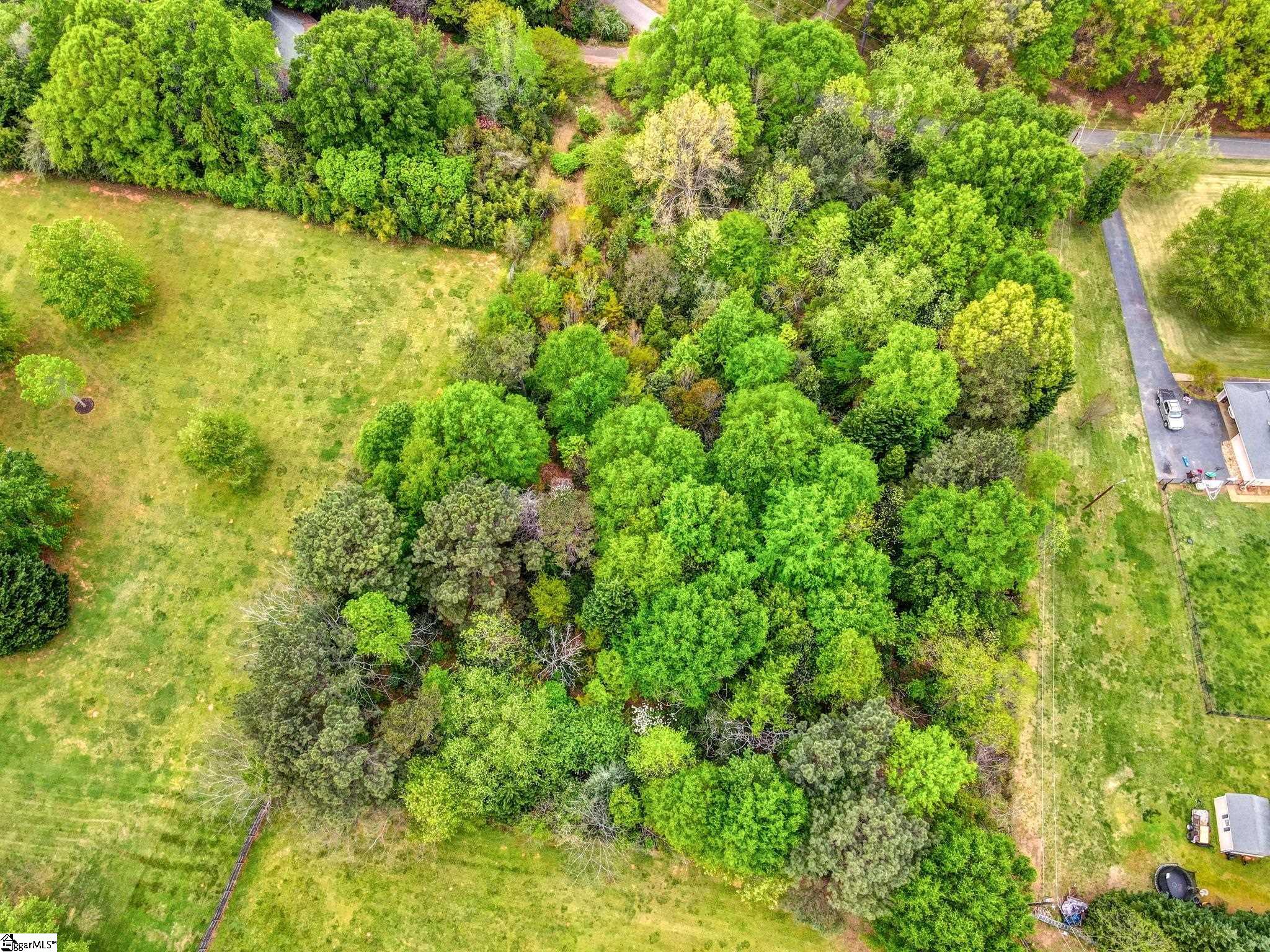 0 Cornfield Road Inman, SC 29349 - Photo 11 of 30