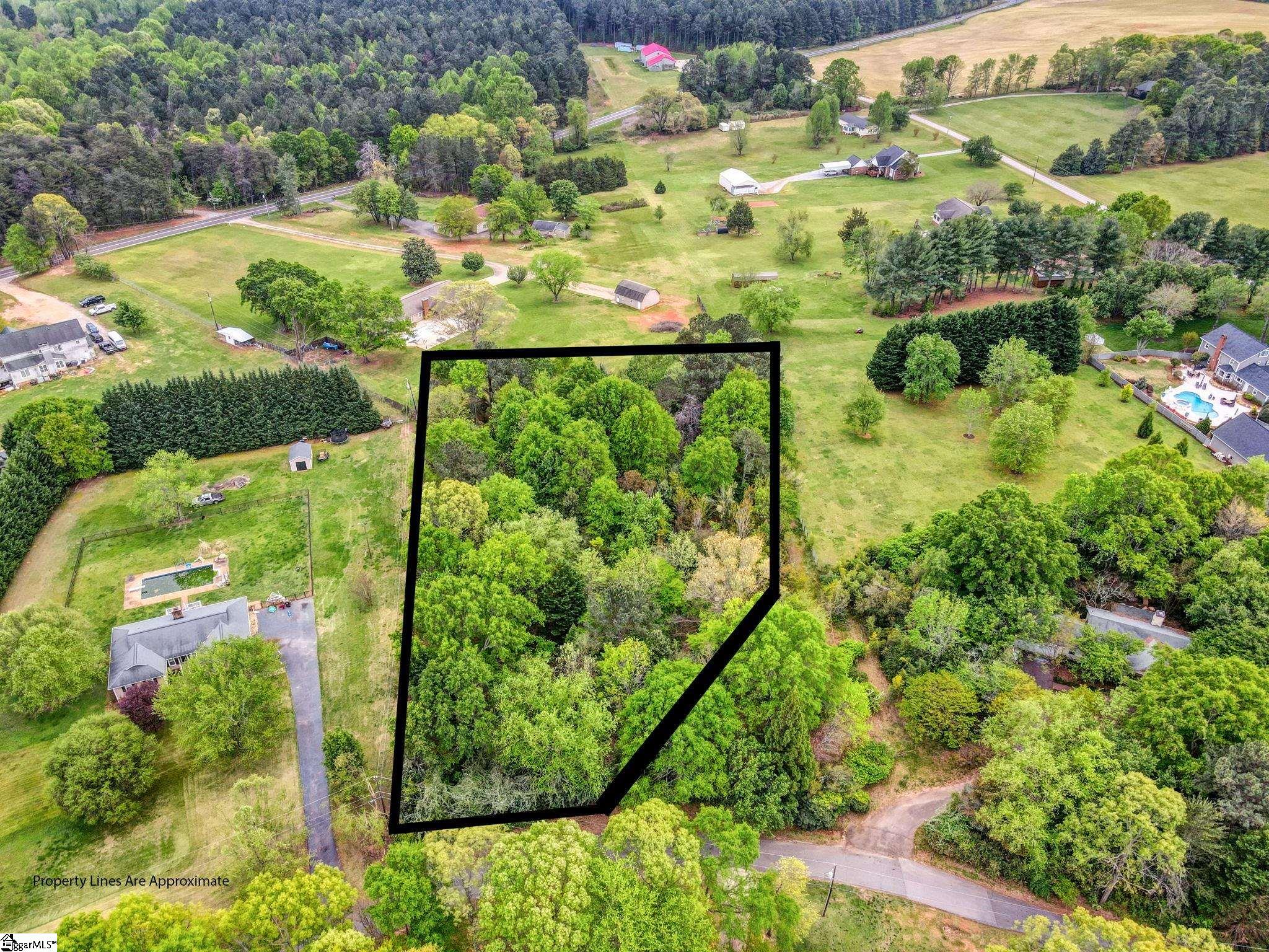 0 Cornfield Road Inman, SC 29349 - Photo 2 of 30