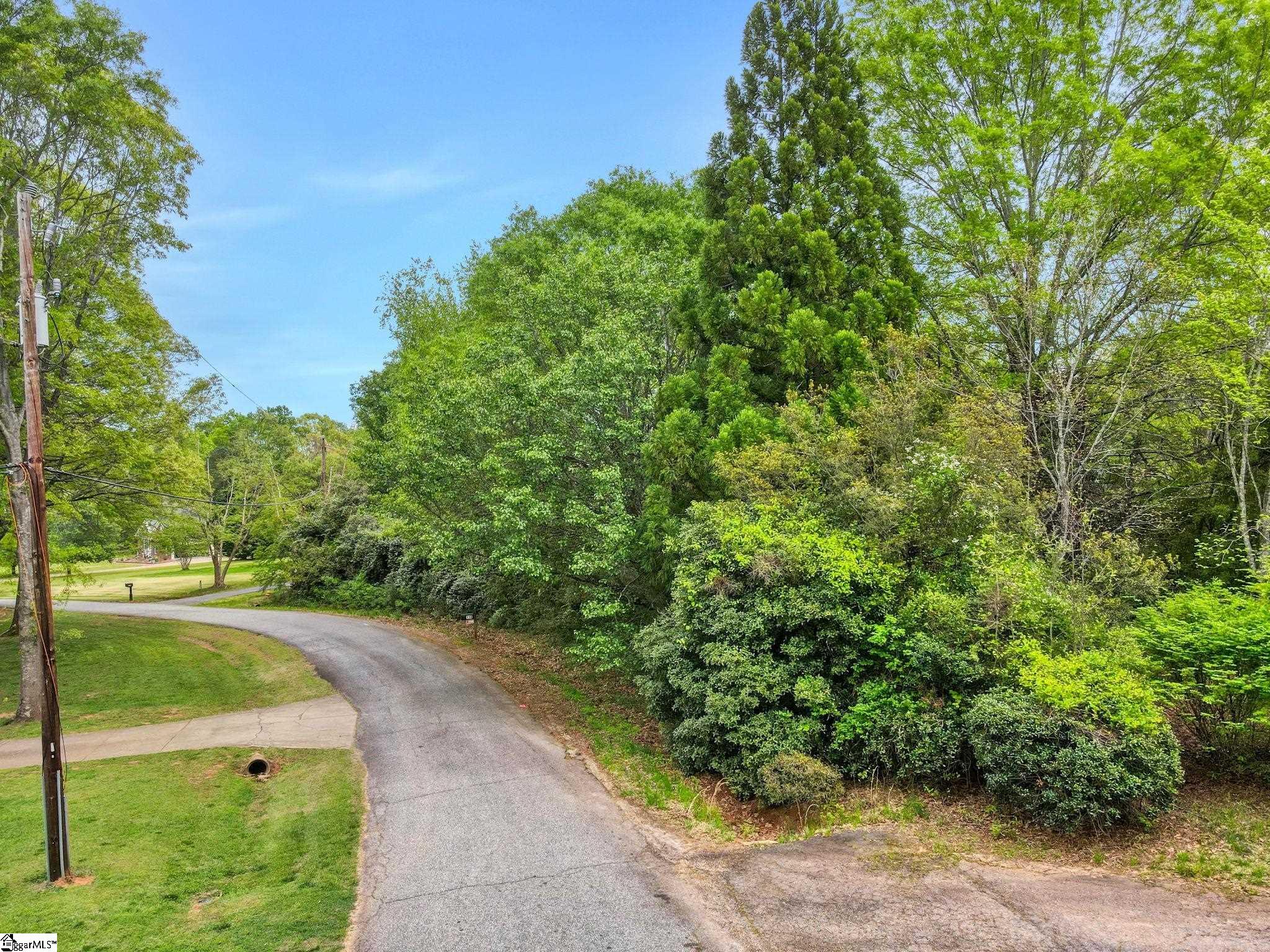 0 Cornfield Road Inman, SC 29349 - Photo 23 of 30