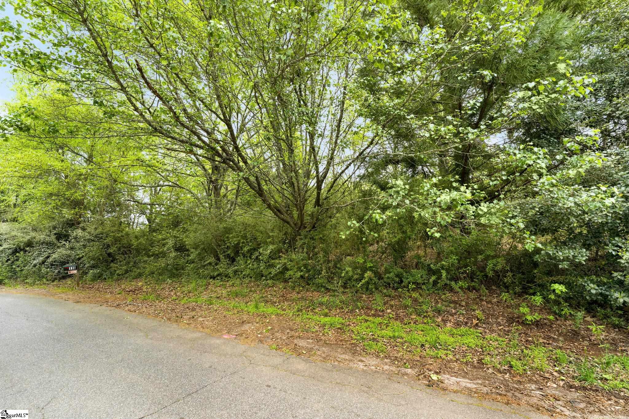 0 Cornfield Road Inman, SC 29349 - Photo 29 of 30