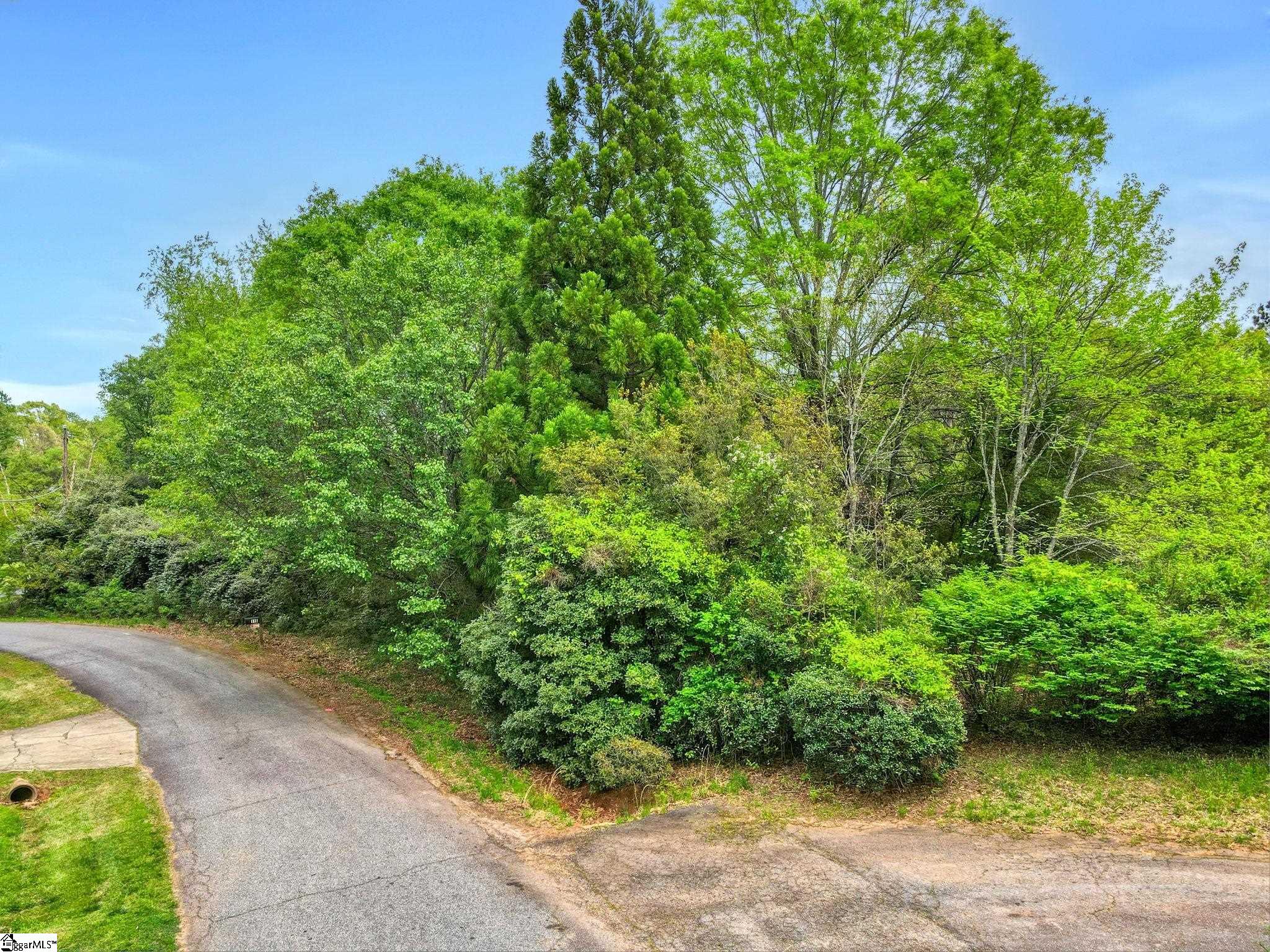 0 Cornfield Road Inman, SC 29349 - Photo 3 of 30