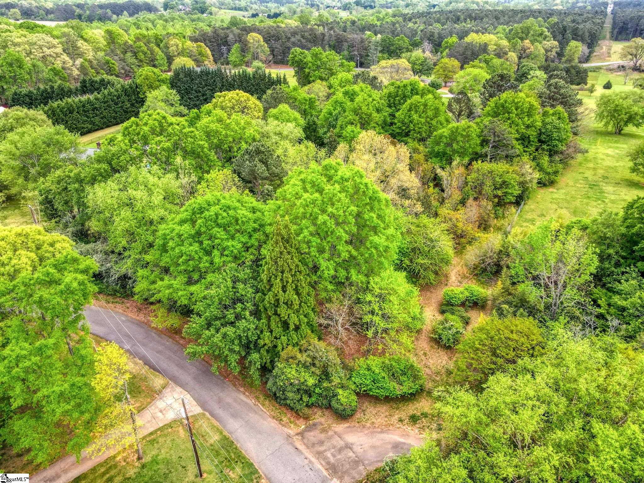 0 Cornfield Road Inman, SC 29349 - Photo 4 of 30