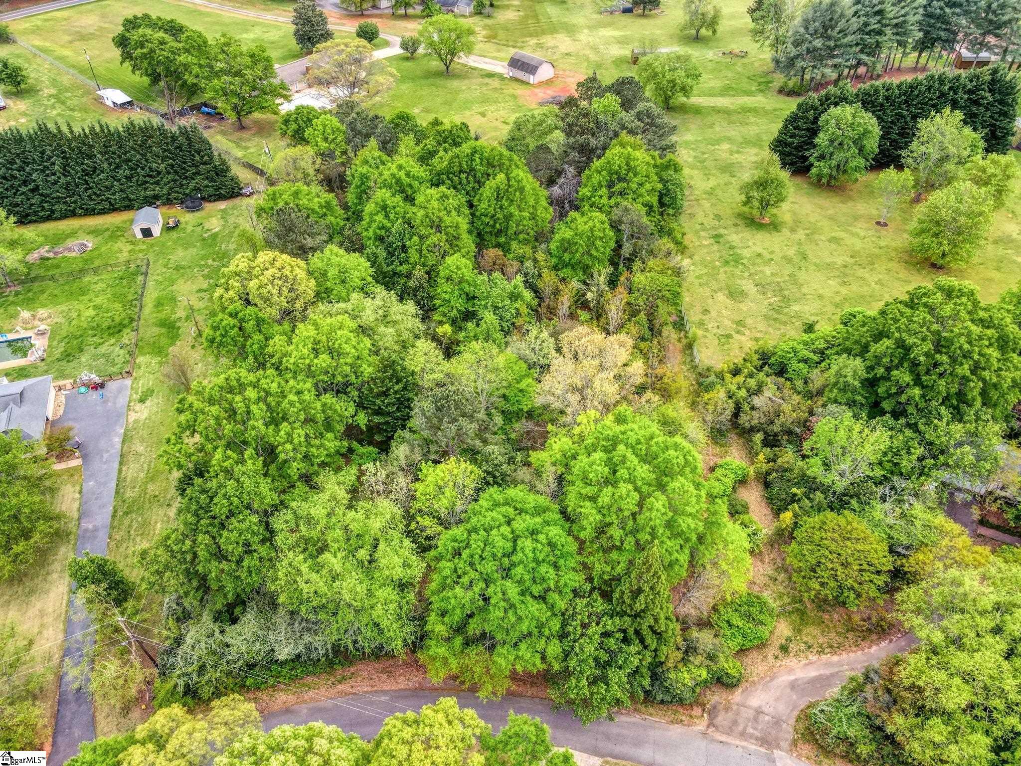 0 Cornfield Road Inman, SC 29349 - Photo 6 of 30
