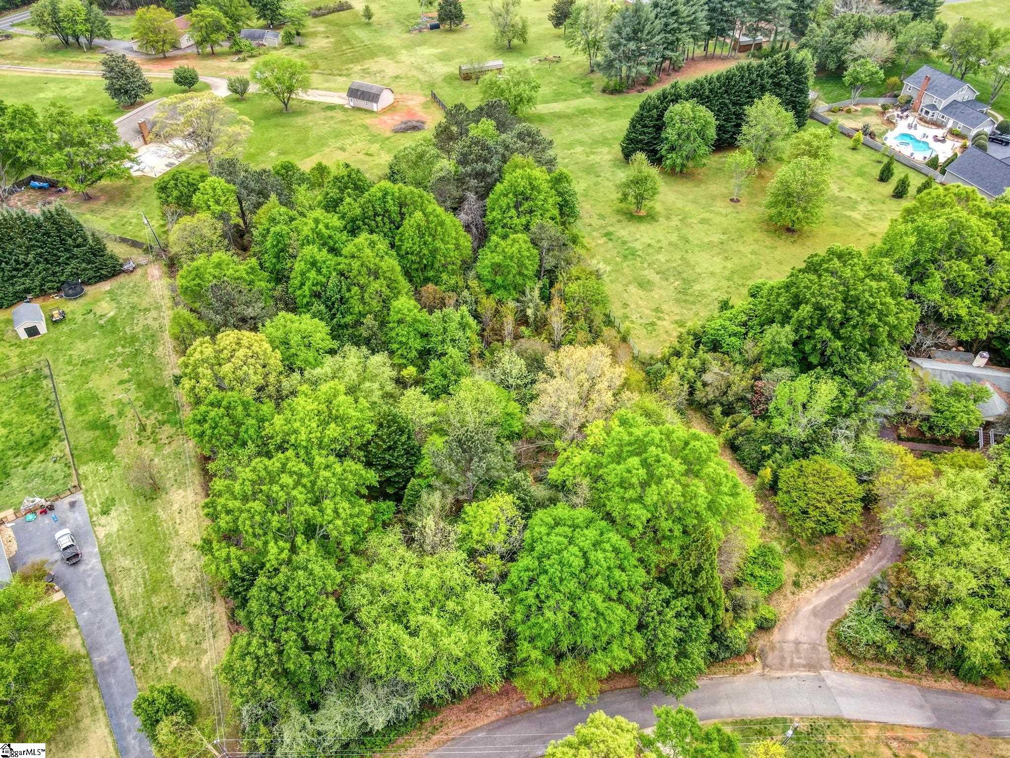0 Cornfield Road Inman, SC 29349 - Photo 7 of 30