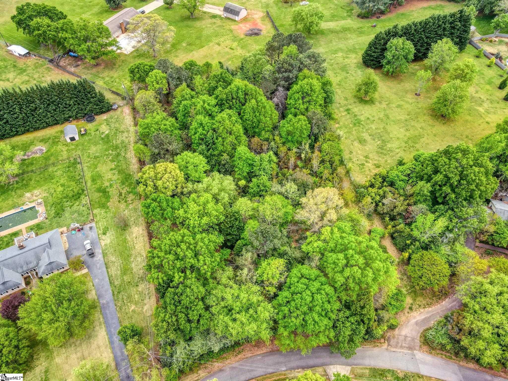 0 Cornfield Road Inman, SC 29349 - Photo 8 of 30