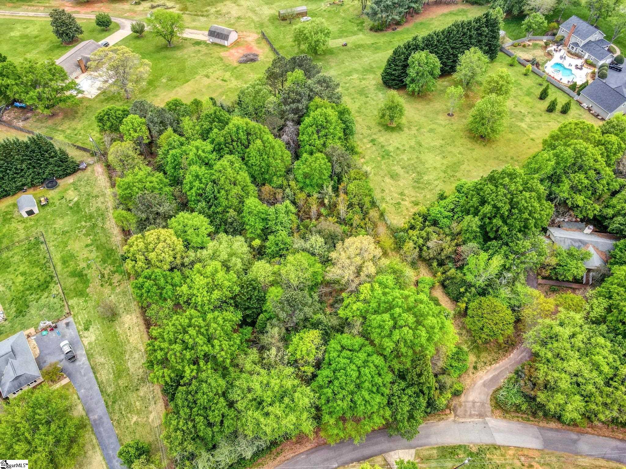 0 Cornfield Road Inman, SC 29349 - Photo 9 of 30
