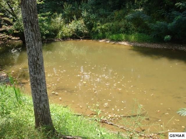 3 Jones Cove Road Sevierville, TN 37876 - Photo 1 of 6