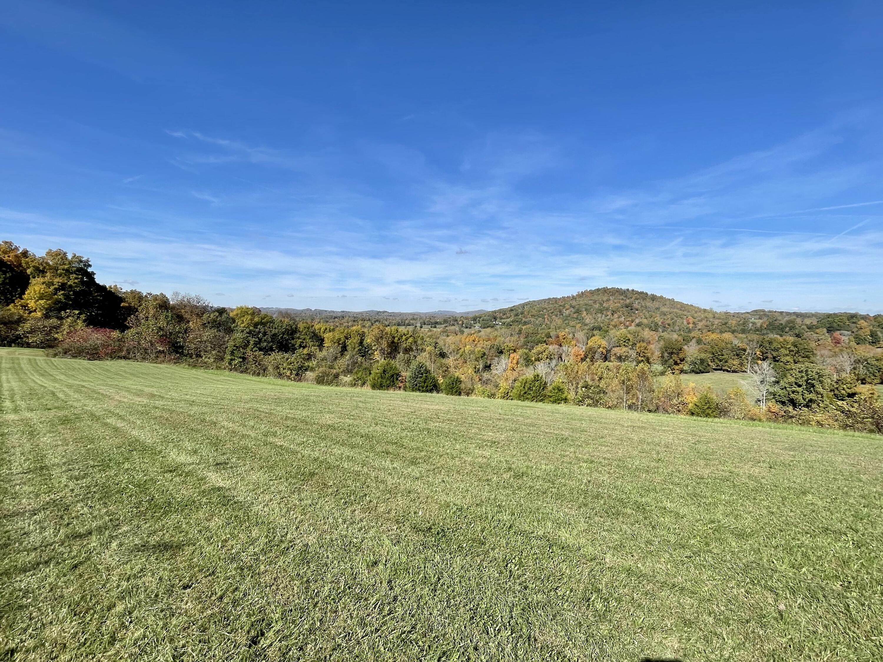587 Irvine Road Science Hill, KY 42553 - Photo 32 of 90 83FB5D78-D233-412E-B0E6-9985AFA45C17