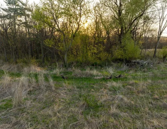 $4,624,080 | 133 Highway 133, Cassville, WI 53806