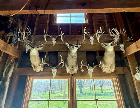 $4,624,080 | 133 Highway 133, Cassville, WI 53806