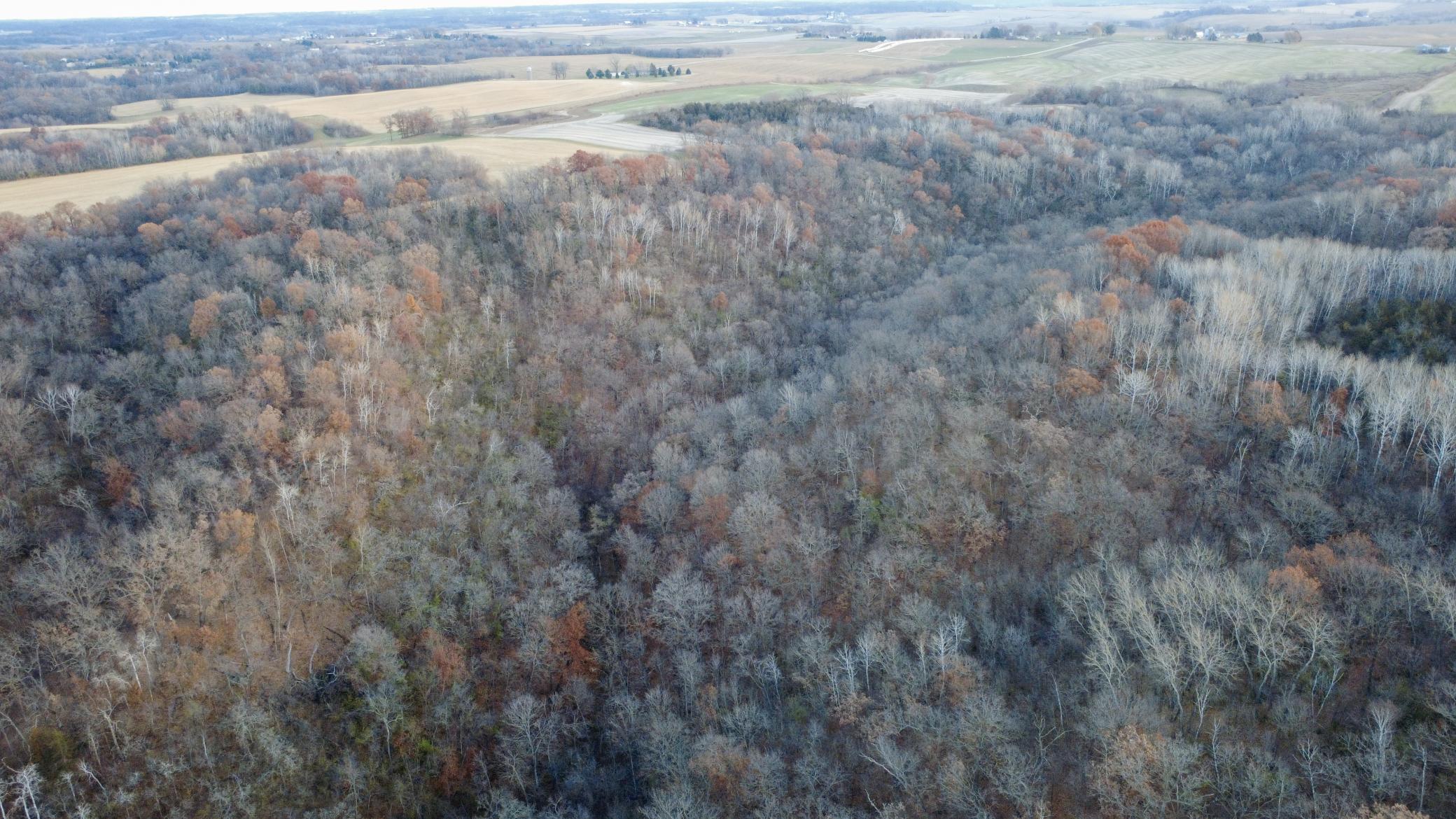 W10622 Highway 35 Prescott, WI 54021 - Photo 110 of 122