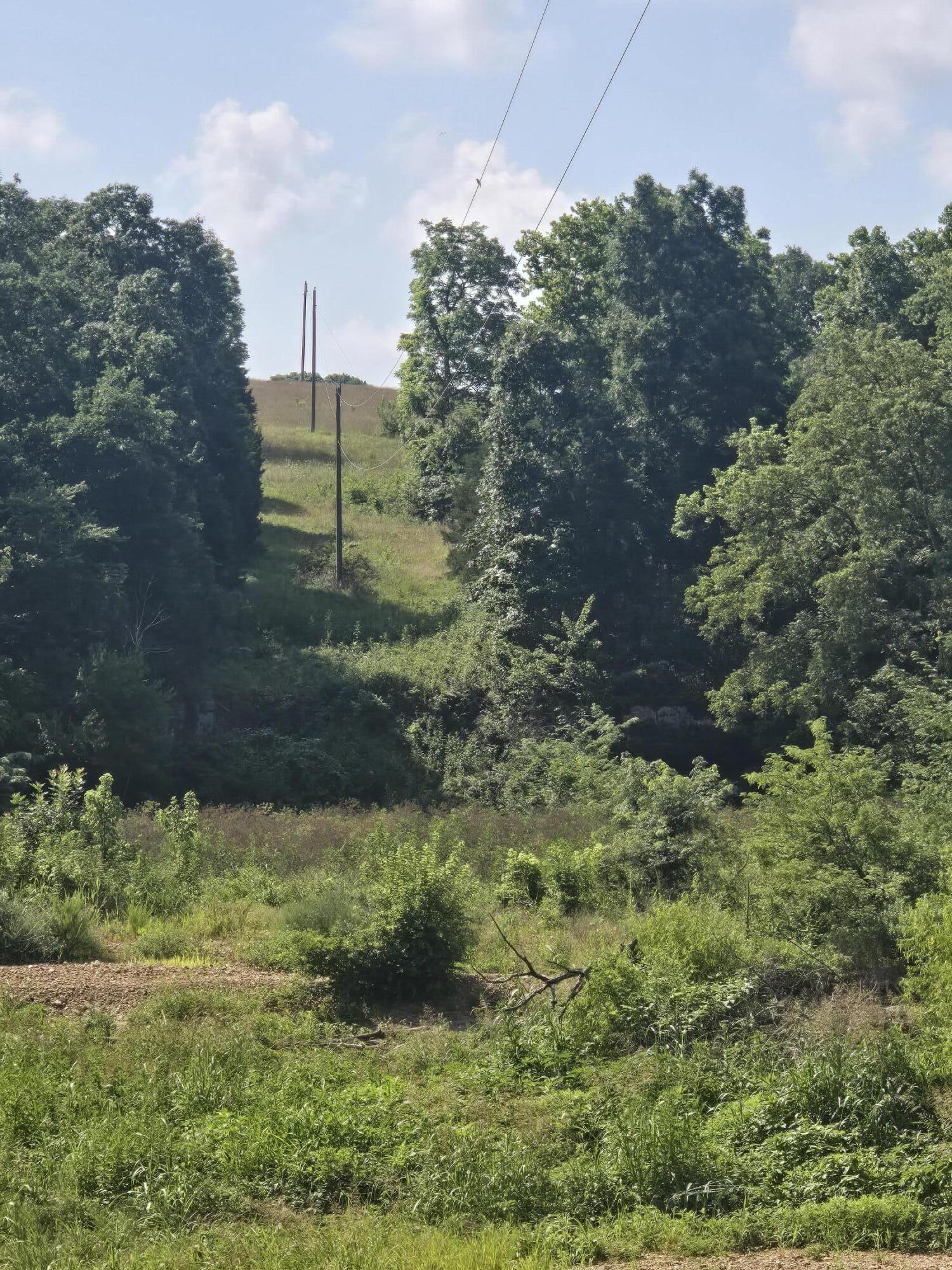 0 Reaves Road Mountain Grove, MO 65711 - Photo 3 of 37 20260703_100039