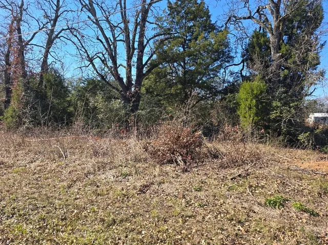 a view of a yard with plants and trees