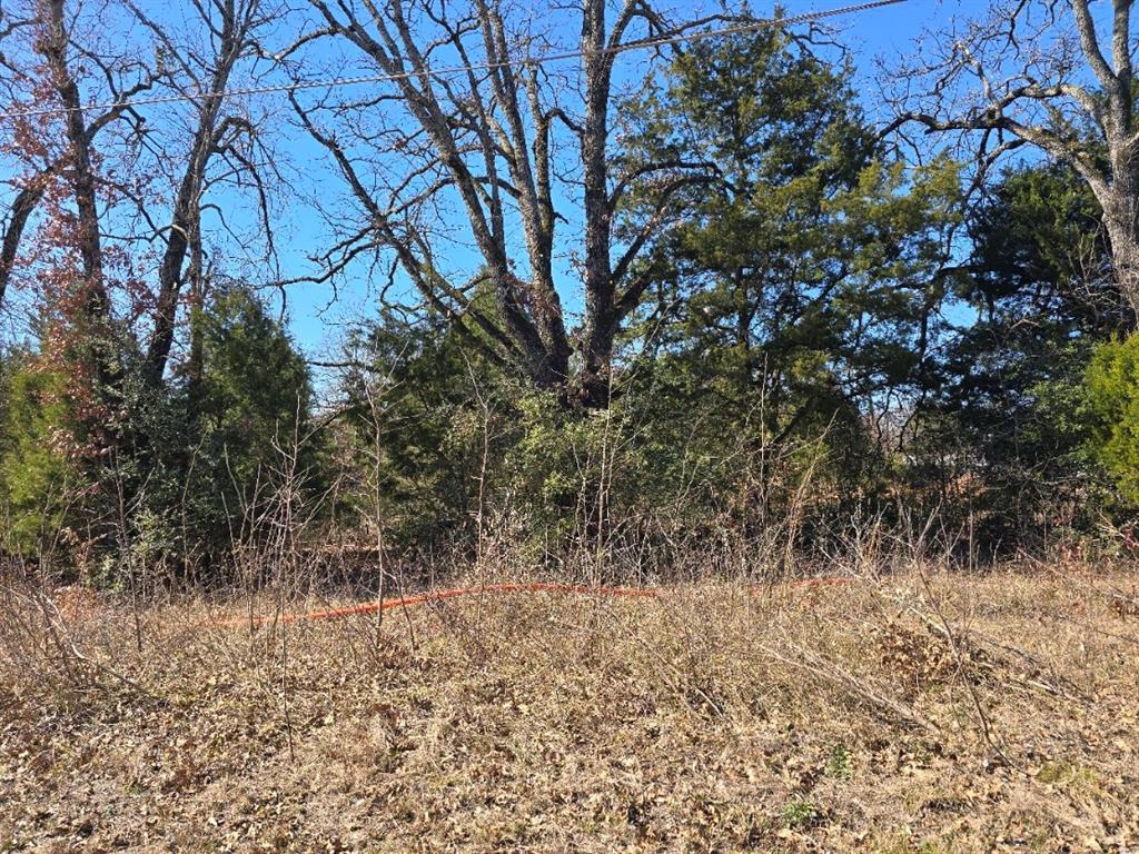 320 Double Bridge Road Mabank, TX 75156 - Photo 3 of 6 a view of a yard with a tree