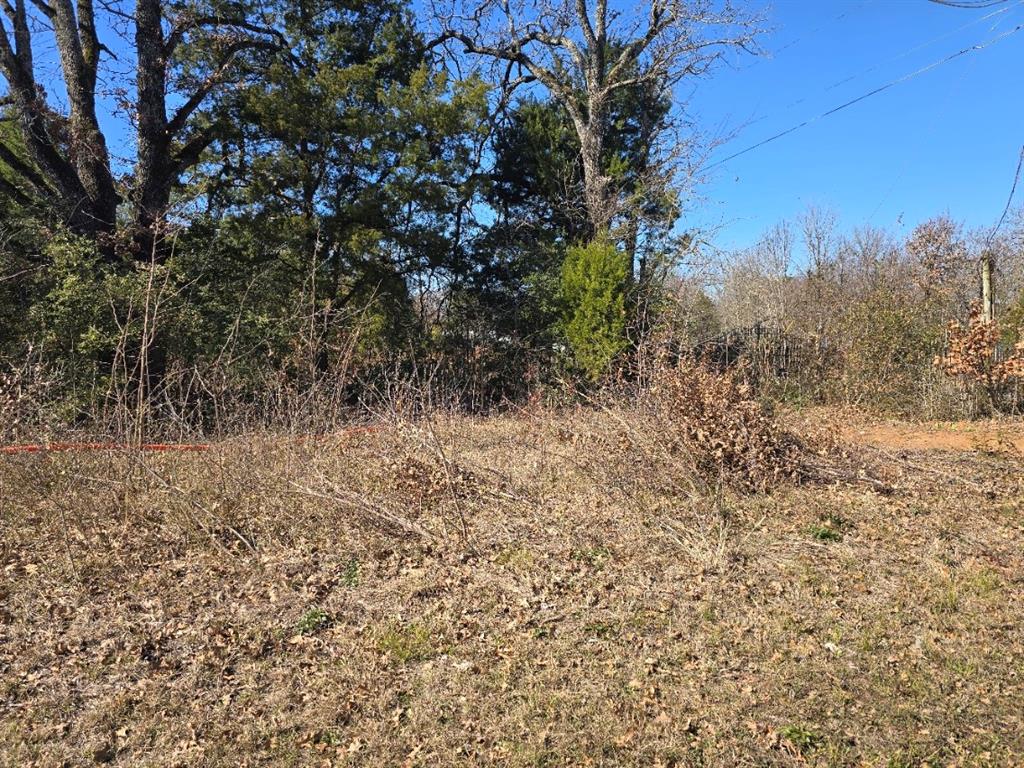 320 Double Bridge Road Mabank, TX 75156 - Photo 4 of 6 a view of a yard with a tree