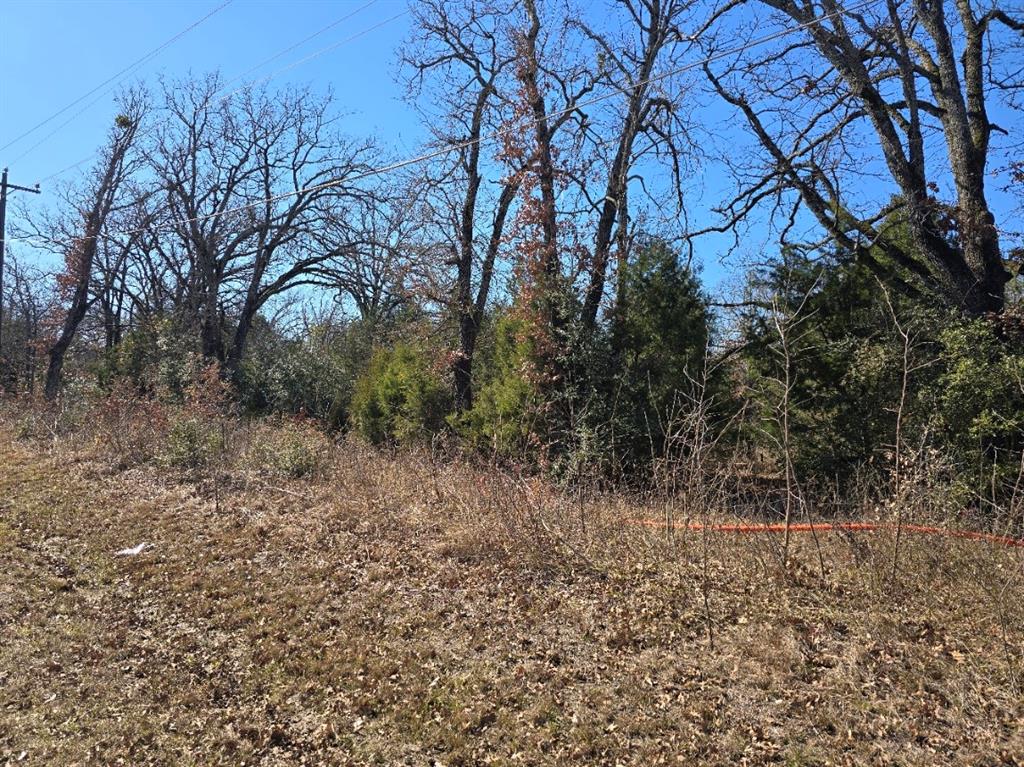 320 Double Bridge Road Mabank, TX 75156 - Photo 5 of 6