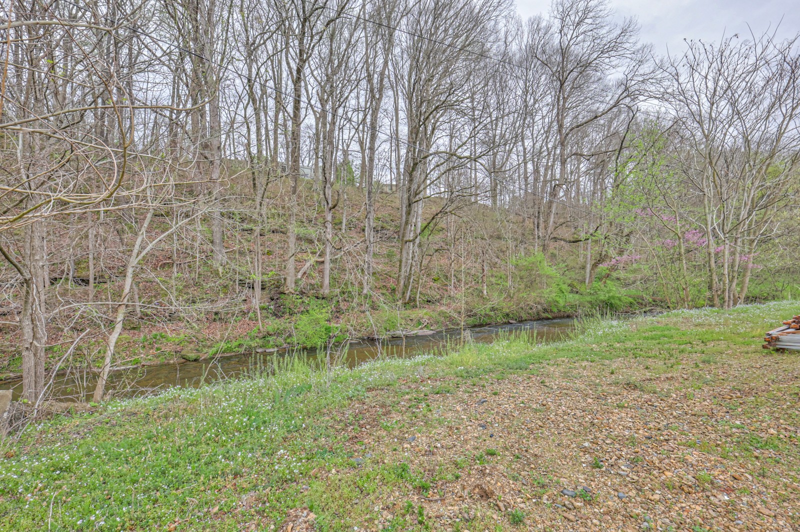 290 Main Street Red Boiling Springs, TN 37150 - Photo 31 of 34 a backyard of a house with lots of green space and lake view