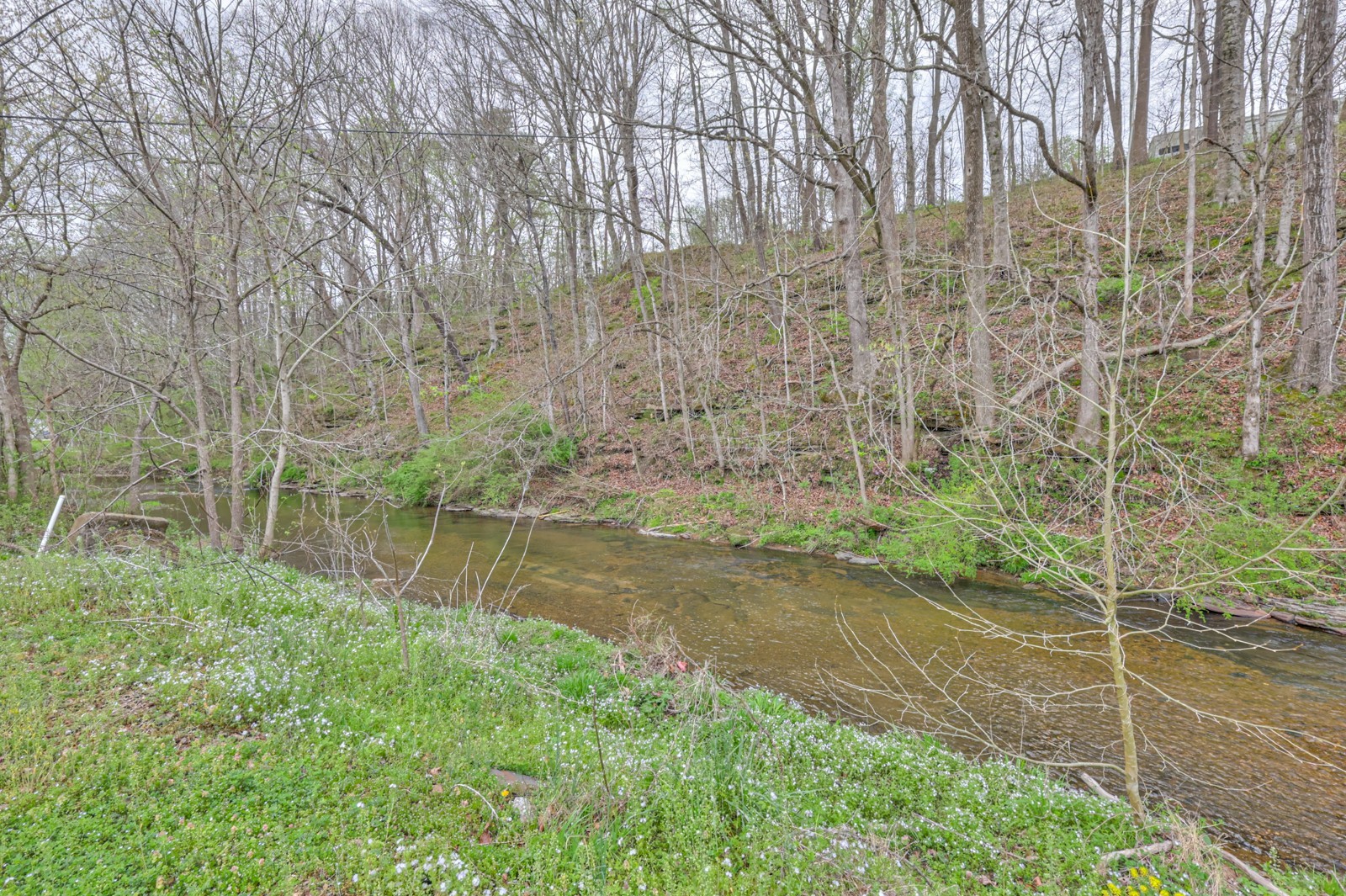 290 Main Street Red Boiling Springs, TN 37150 - Photo 34 of 34 a backyard of a house with lots of green space and lake view