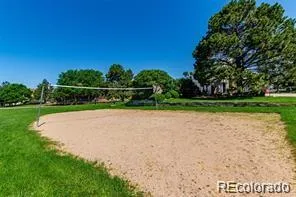 a view of a field