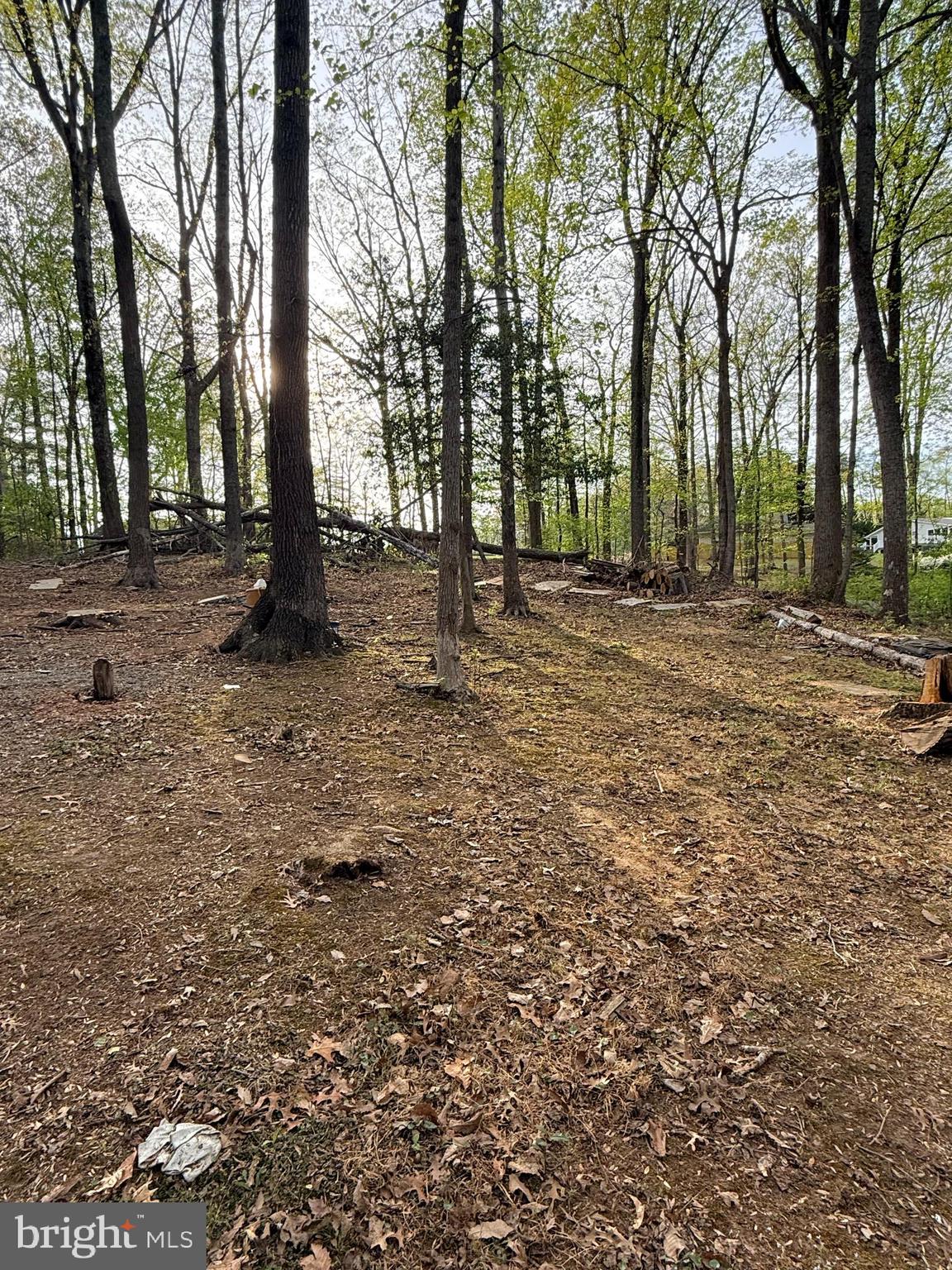 6910 Token Valley Road Manassas, VA 20112 - Photo 7 of 8 a view of outdoor space with trees