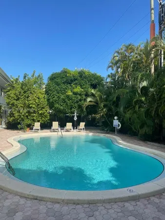 a view of a big yard with a large trees