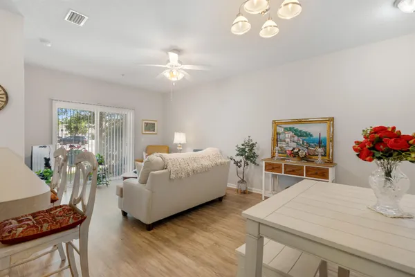 a living room with furniture flowerpot and window