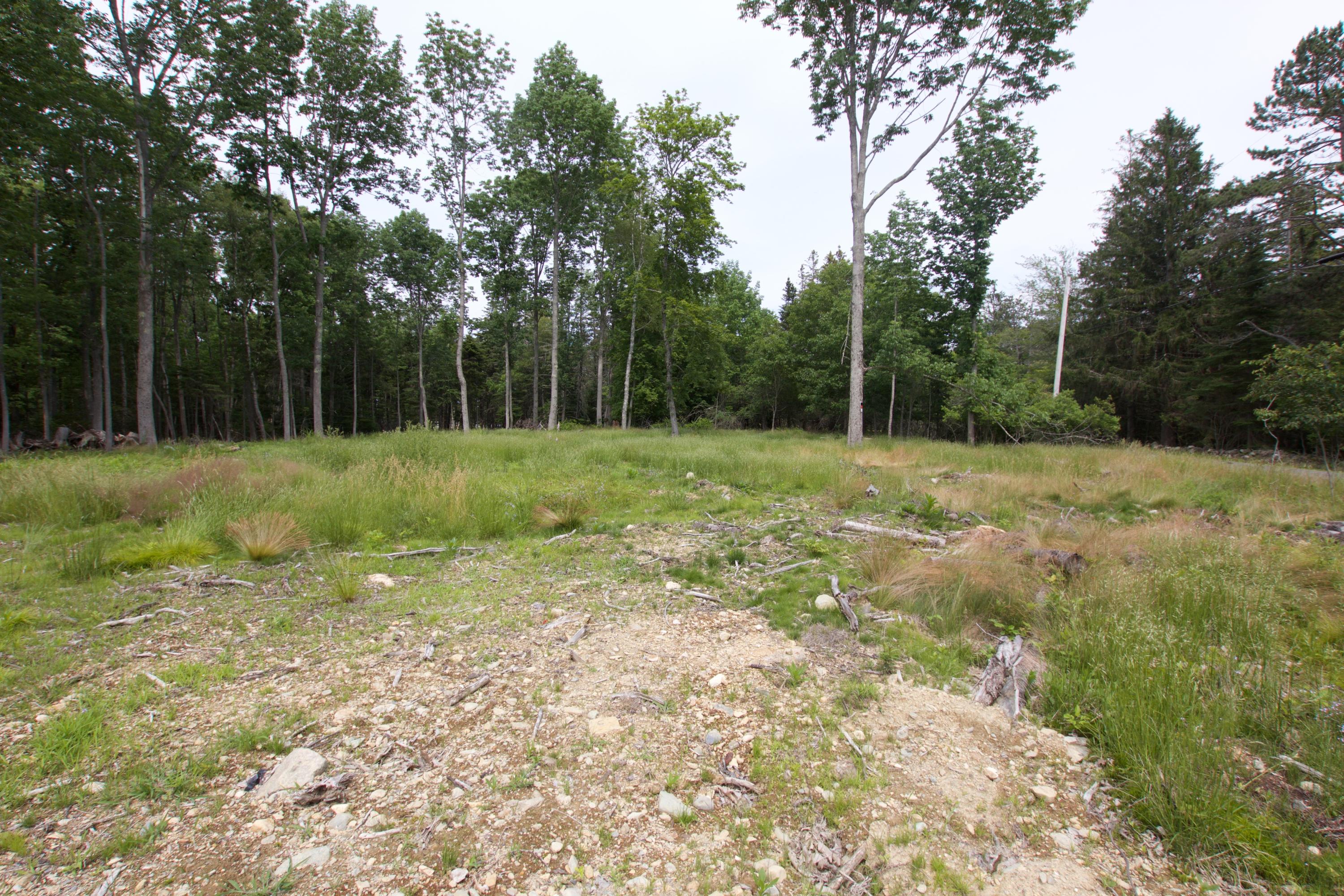30 Quaco Road Deer Isle, ME 04627 - Photo 3 of 22 IMG_6847 (1)