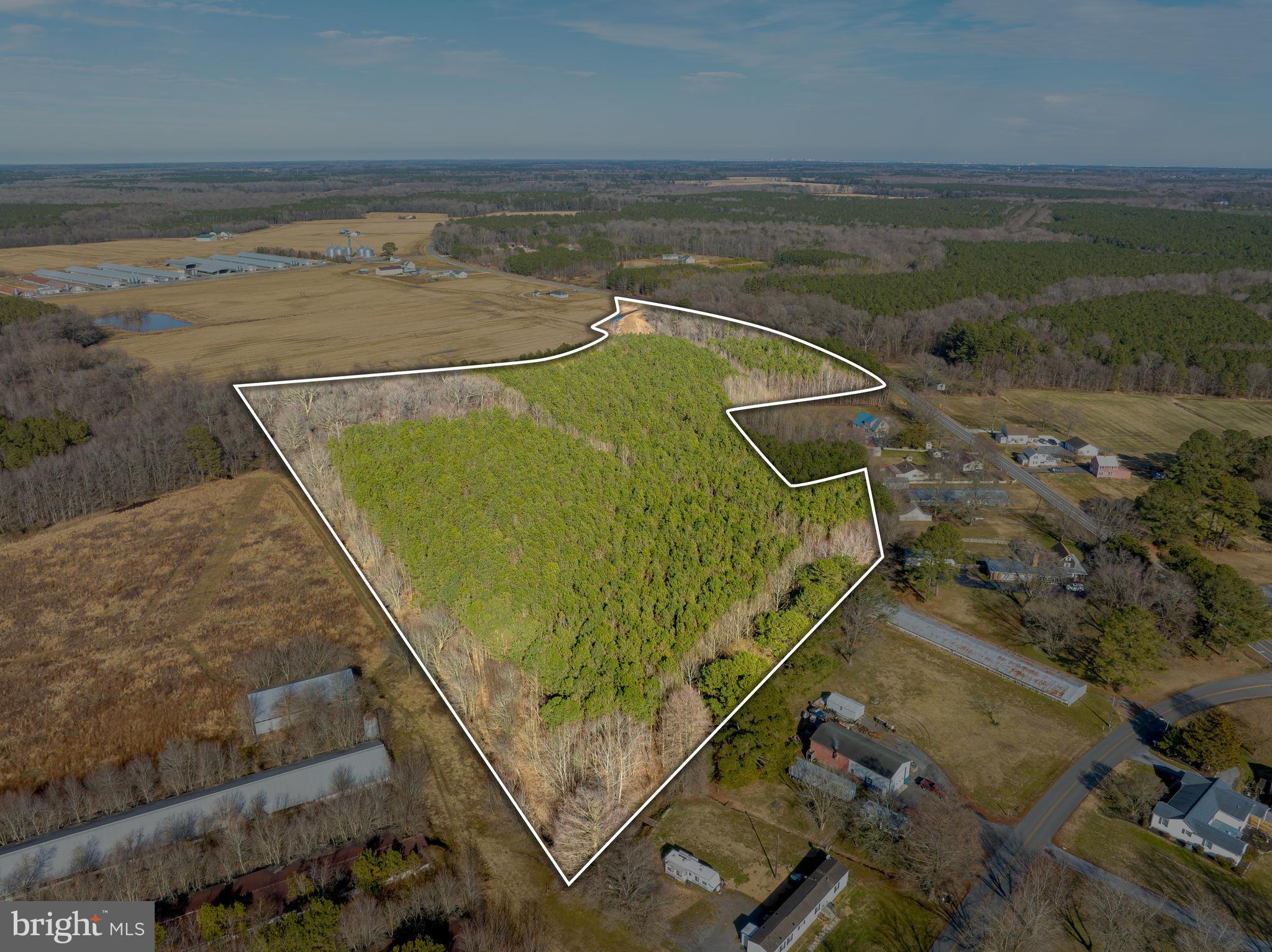 0 Libertytown Road Berlin, MD 21811 - Photo 1 of 40